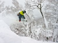 Zažijte životní freeride