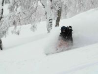 Zažijte životní freeride