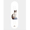 SK8 DESKA DELTA Grandma Cat - Brown 2