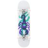 SK8 KOMPLET ARBOR Street Chroma