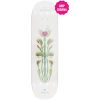 SK8 DESKA ARBOR Amelia Venus