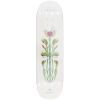 SK8 DESKA ARBOR Amelia Venus 2