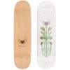 SK8 DESKA ARBOR Amelia Venus 3