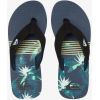 ŽABKY QUIKSILVER MOLOKAI LAYBACK 3
