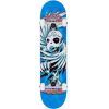 SK8 KOMPLET BIRDHOUSE Hawk Spiral S1