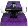 SK8 KOMPLET BIRDHOUSE Plague Doctor S3 2