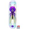 SK8 DESKA BIRDHOUSE Schaar Ilham Insects 2
