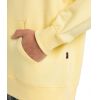 MIKINA QUIKSILVER Apog Heritage Hoodie 6