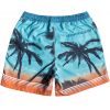 PLAVKY QUIKSILVER PARADISE VOLLEY 17 2
