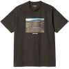 TRIKO CARHARTT WIP Earth Magic S/S