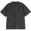 TRIKO CARHARTT WIP Painter S/S 2
