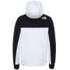 MIKINA THE NORTH FACE HMLYN HOODIE 2