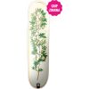 SK8 DESKA PLAN B Bloom Mcclung