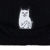 KULICH RIPNDIP LORD NERMAL 4