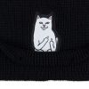 KULICH RIPNDIP LORD NERMAL 4