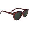 BRÝLE SPY Boundless Honey Tort - Happy G 3