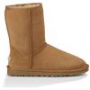 BOTY UGG CLASSIC SHORT WMS