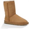 BOTY UGG CLASSIC SHORT WMS 2