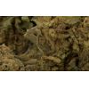 BONUMO CBD Cannatonic květy 1g 3