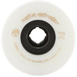 SK8 KOLA ARBOR Summit Daniel MacDonald