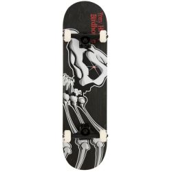 SK8 KOMPLET BIRDHOUSE Falcon 1 S3