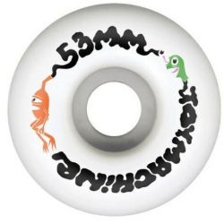 SK8 KOLA TOY MACHINE Trail