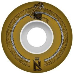 SK8 KOLA NOMAD Snake gold 101A  V7