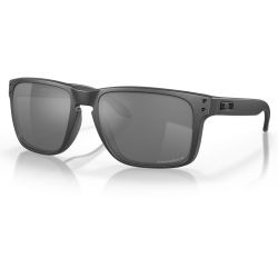 BRÝLE OAKLEY Holbrook XL Steel