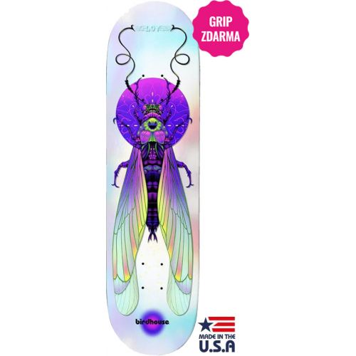SK8 DESKA BIRDHOUSE Schaar Ilham Insects
