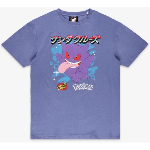 TRIKO SANTA CRUZ Pokemon Ghost Type 3