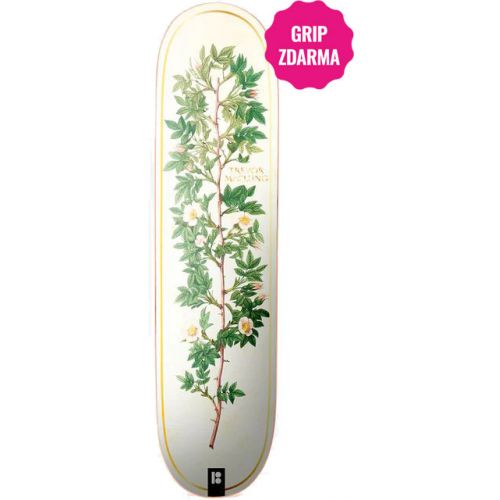 SK8 DESKA PLAN B Bloom Mcclung