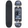 SK8 KOMPLET ARBOR Planting Seeds