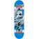 SK8 KOMPLET BIRDHOUSE Hawk Spiral S1