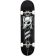 SK8 KOMPLET BIRDHOUSE Hawk Crest S1