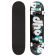 SK8 KOMPLET BIRDHOUSE Noir Logo S3