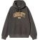 MIKINA CARHARTT WIP Hooded Library